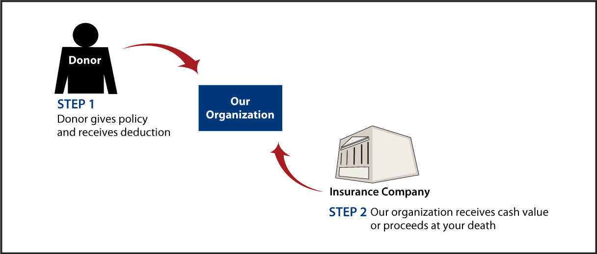 Life Insurance Policy Thumbnail